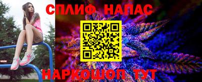 гашик Тула