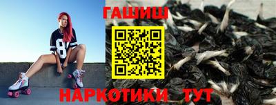 гашик Тула