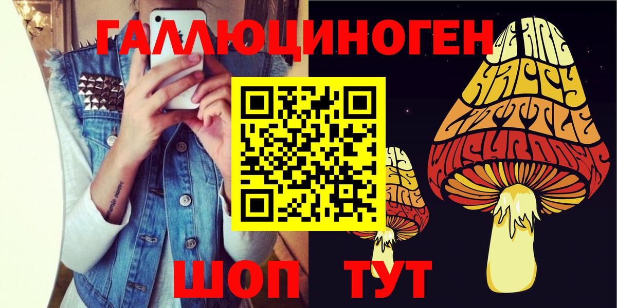 купить  сайты  Вход с VPN  Асбест  Псилоцибиновые грибы GOLDEN TEACHER 
